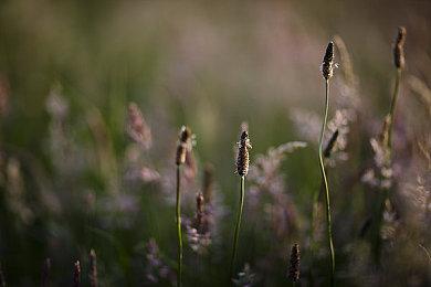 《路途开拓者：流浪之刃》Steam页面 发售日待定